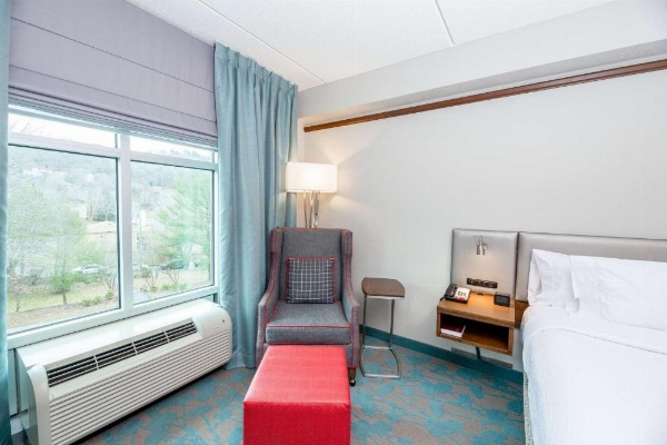 Hilton Garden Inn Asheville Downtown image 20